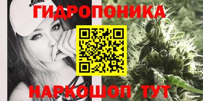 apvp Обь